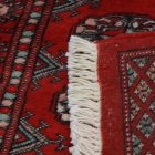 Dywan chodnik Bukhara 78x313 ręcznie wiązany pakistański dywan do przedpokoju