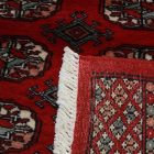 Dywan chodnik Bukhara 80x372 ręcznie wiązany pakistański dywan do przedpokoju