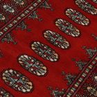 Dywan chodnik Bukhara 79x355 ręcznie wiązany pakistański dywan do przedpokoju