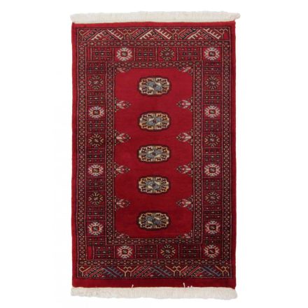 Dywan Pakistan Bukhara 76x123 ręcznie wiązany dywan orientalny