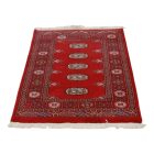 Dywan Pakistan Bukhara 76x123 ręcznie wiązany dywan orientalny