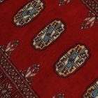 Dywan Pakistan Bukhara 76x123 ręcznie wiązany dywan orientalny