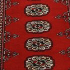 Dywan Pakistan Bukhara 79x121 ręcznie wiązany dywan tradycyjny