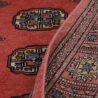 Chodniki dywanowe Bukhara 76x233 ręcznie wiązany pakistański dywan do przedpokoju