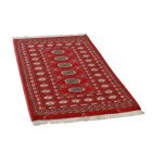 Dywan Pakistan Bukhara 76x128 ręcznie wiązany dywan orientalny