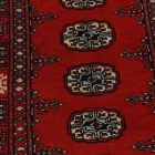 Dywan Pakistan Bukhara 80x126 ręcznie wiązany dywan orientalny