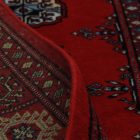 Dywan Pakistan Bukhara 80x126 ręcznie wiązany dywan orientalny