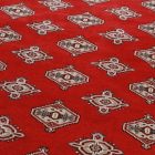 Dywan Pakistan Bukhara 153x245 ręcznie wiązany dywan tradycyjny