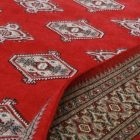 Dywan Pakistan Bukhara 153x245 ręcznie wiązany dywan tradycyjny