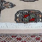 Dywan Pakistan Bukhara 62x94 ręcznie wiązany dywan orientalny