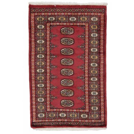 Dywan Pakistan Bukhara 80x127 ręcznie wiązany dywan orientalny