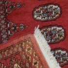 Dywan Pakistan Bukhara 81x119 ręcznie wiązany dywan orientalny