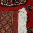 Dywan chodnik Bukhara 63x180 ręcznie wiązany pakistański dywan do przedpokoju