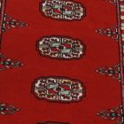 Chodniki dywanowe Bukhara 63x178 ręcznie wiązany pakistański dywan do przedpokoju