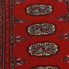 Dywan chodnik Bukhara 63x183 ręcznie wiązany pakistański dywan do przedpokoju