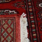 Dywan chodnik Bukhara 64x184 ręcznie wiązany pakistański dywan do przedpokoju