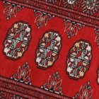 Chodniki dywanowe Bukhara 65x178 ręcznie wiązany pakistański dywan do przedpokoju