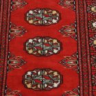 Dywan chodnik Bukhara 65x186 ręcznie wiązany pakistański dywan do przedpokoju