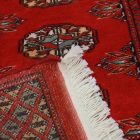 Chodniki dywanowe Bukhara 65x186 ręcznie wiązany pakistański dywan do przedpokoju