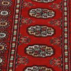 Chodnik dywanowy Bukhara 64x182 pakistański dywan do przedpokoju