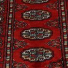 Chodnik dywanowy Bukhara 64x182 pakistański dywan do przedpokoju