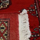 Dywan chodnik Bukhara 64x191 ręcznie wiązany pakistański dywan do przedpokoju