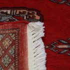 Dywan chodnik Bukhara 64x179 ręcznie wiązany pakistański dywan do przedpokoju