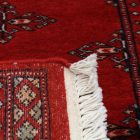 Dywan chodnik Butterfly 63x181 ręcznie wiązany pakistański dywan do przedpokoju