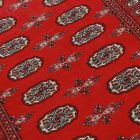 Dywan Pakistan Bukhara 97x155 ręcznie wiązany dywan orientalny