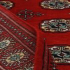 Dywan Pakistan Bukhara 97x154 ręcznie wiązany dywan orientalny