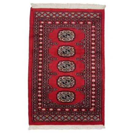 Dywan Pakistan Bukhara 63x94 ręcznie wiązany dywan orientalny