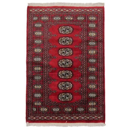 Dywan Pakistan Bukhara 78x116 ręcznie wiązany dywan orientalny