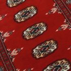 Dywan Pakistan Bukhara 78x112 ręcznie wiązany dywan orientalny