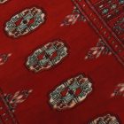 Dywan Pakistan Bukhara 79x124 ręcznie wiązany dywan tradycyjny