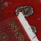 Dywan Pakistan Bukhara 79x124 ręcznie wiązany dywan tradycyjny