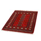 Dywan Pakistan Bukhara 80x118 ręcznie wiązany dywan orientalny