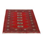 Dywan Pakistan Bukhara 80x111 ręcznie wiązany dywan orientalny
