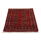 Dywan Pakistan Bukhara 80x115 ręcznie wiązany dywan orientalny