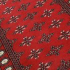 Dywan Pakistan Butterfly 95x149 ręcznie wiązany dywan orientalny
