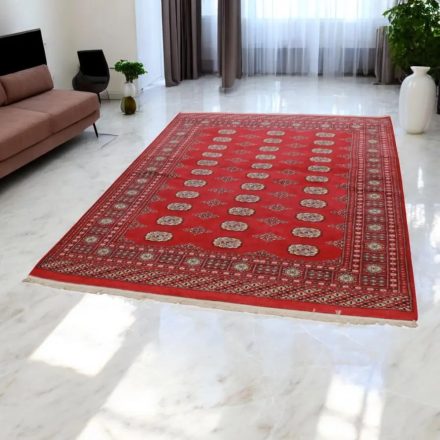 Dywan Pakistan Bukhara 168x229 ręcznie wiązany dywan tradycyjny