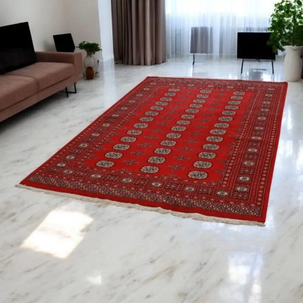 Dywan Pakistan Bukhara 167x243 ręcznie wiązany dywan tradycyjny