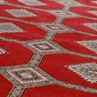 Dywan Pakistan Jaldar 168x237 ręcznie wiązany dywan orientalny