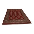 Dywan Pakistan Jaldar 168x259 ręcznie wiązany dywan orientalny