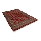 Dywan Pakistan Jaldar 168x259 ręcznie wiązany dywan orientalny