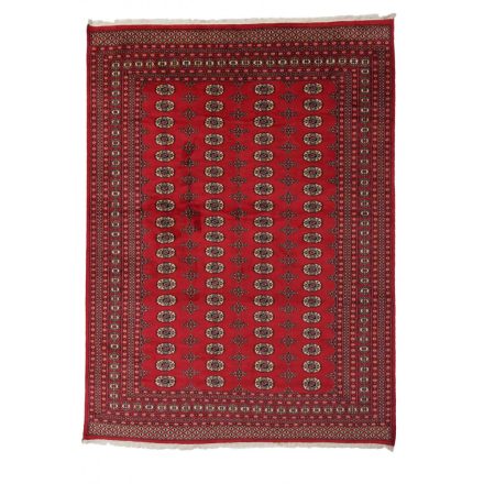 Dywan Pakistan Bukhara 220x297 ręcznie wiązany dywan orientalny