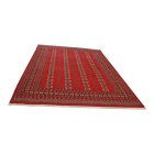 Dywan Pakistan Bukhara 220x297 ręcznie wiązany dywan orientalny