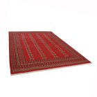 Dywan Pakistan Bukhara 220x297 ręcznie wiązany dywan orientalny