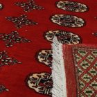 Dywan Pakistan Bukhara 220x297 ręcznie wiązany dywan orientalny