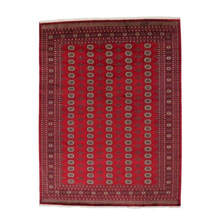 Dywan Pakistan Bukhara 280x366 ręcznie wiązany dywan orientalny